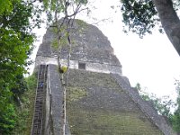 2011023754 Tikal - Guatemala