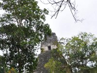 2011023768 Tikal - Guatemala