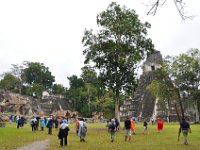 2011023769 Tikal - Guatemala