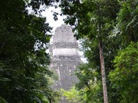 2011023831 Tikal - Guatemala