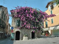 2005072136 Simione-Italy