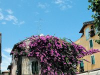 2005072133 Simione-Italy