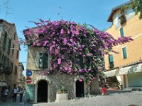 2005072137 Simione-Italy