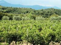2005071776 Lake District Vineyards- Italy