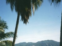 1995111064 Darrel and Betty Hagberg - Nov 3-11 - Ixtapa Mexico