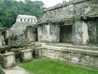 2008022161 Palenque Mayan Ruins -  Mexico