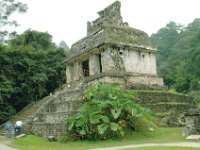 2008022165 Palenque Mayan Ruins -  Mexico