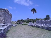 2016060945 Tulum and Mayan Village, Cozumel, Mexico (June 10)