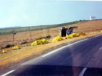 1990072470 Fes, Morocco (July 26, 1990)
