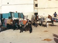 1990072499 Fes, Morocco (July 26, 1990)