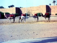 1990072600 Marrakech, Morocco (July 27 - 28, 1990)