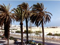 1990072767 Rabat (July 29, 1990)