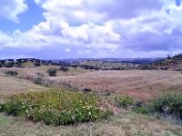 2016052360 Roman Ruins and Evora  (May 12)