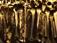 2016052471 Bone Chapel of Church  of Saint Francis, Evora (May 12)