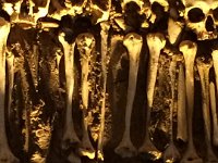 2016052472 Bone Chapel of Church  of Saint Francis, Evora (May 12)