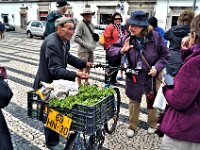 2016052327 Roman Ruins and Evora  (May 12)