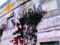 2016050627 Medieval Obidos (May 7)