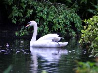 2016051880 Guimaraes - Vila Real - Viseu (May 10)