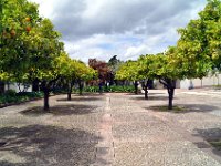 2016050888 Roman Ruins of Conimbriga (May 8)