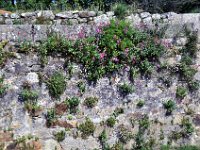 2016053759 Roman Settlement of Vigo, Spain (May 17) - Copy