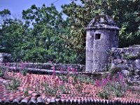 2016053772 Roman Settlement of Vigo, Spain (May 17)