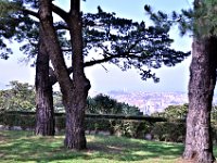 2016053786 Roman Settlement of Vigo, Spain (May 17)