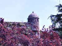 2016053789 Roman Settlement of Vigo, Spain (May 17)