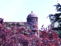 2016053790 Roman Settlement of Vigo, Spain (May 17)