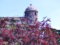 2016053791 Roman Settlement of Vigo, Spain (May 17)