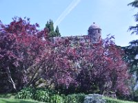 2016053792 Roman Settlement of Vigo, Spain (May 17)