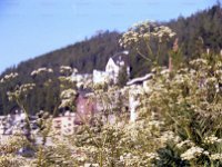 1983060203  St. Moritz, Switzerland - Jun 28-29