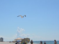 2018072948 Beach at Gulf Shores AL-Jul 13