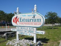 2018072517 Estuarium-Dauphin Island AL-Jiul 10