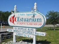 2018072518 Estuarium-Dauphin Island AL-Jiul 10