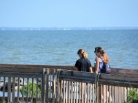 2018072528 Estuarium-Dauphin Island AL-Jiul 10