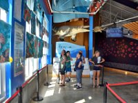 2018072547 Estuarium-Dauphin Island AL-Jiul 10