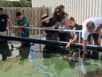 2018072587 Estuarium-Dauphin Island AL-Jiul 10