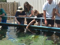 2018072588 Estuarium-Dauphin Island AL-Jiul 10