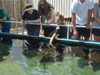 2018072589 Estuarium-Dauphin Island AL-Jiul 10