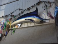 2018072630 Estuarium-Dauphin Island AL-Jiul 10