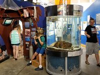 2018072635 Estuarium-Dauphin Island AL-Jiul 10