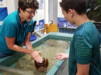 2018072648 Estuarium-Dauphin Island AL-Jiul 10