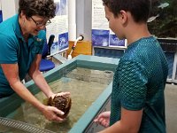 2018072651 Estuarium-Dauphin Island AL-Jiul 10