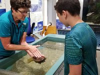 2018072652 Estuarium-Dauphin Island AL-Jiul 10