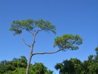 2018072499 Fort Gaines-Dauphin Island AL-Jul 10