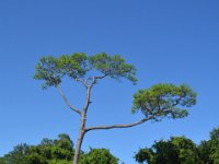 2018072500 Fort Gaines-Dauphin Island AL-Jul 10