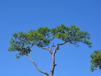 2018072502 Fort Gaines-Dauphin Island AL-Jul 10