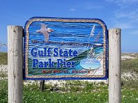 2018072155 Gulf State Park Pier-Gulf Shores AL-Jul 09