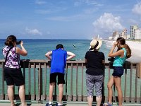 2018072172 Gulf State Park Pier-Gulf Shores AL-Jul 09