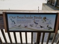 2018072265 Gulf State Park Pier-Gulf Shores AL-Jul 09